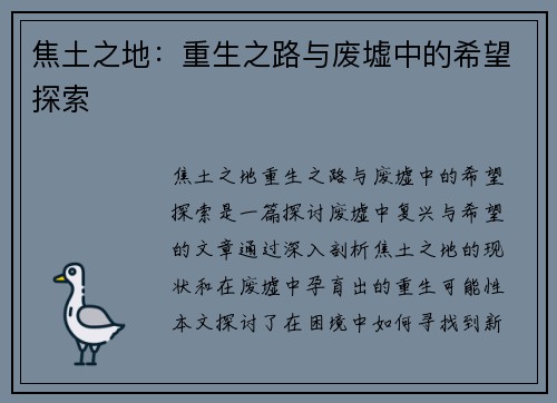 焦土之地：重生之路与废墟中的希望探索